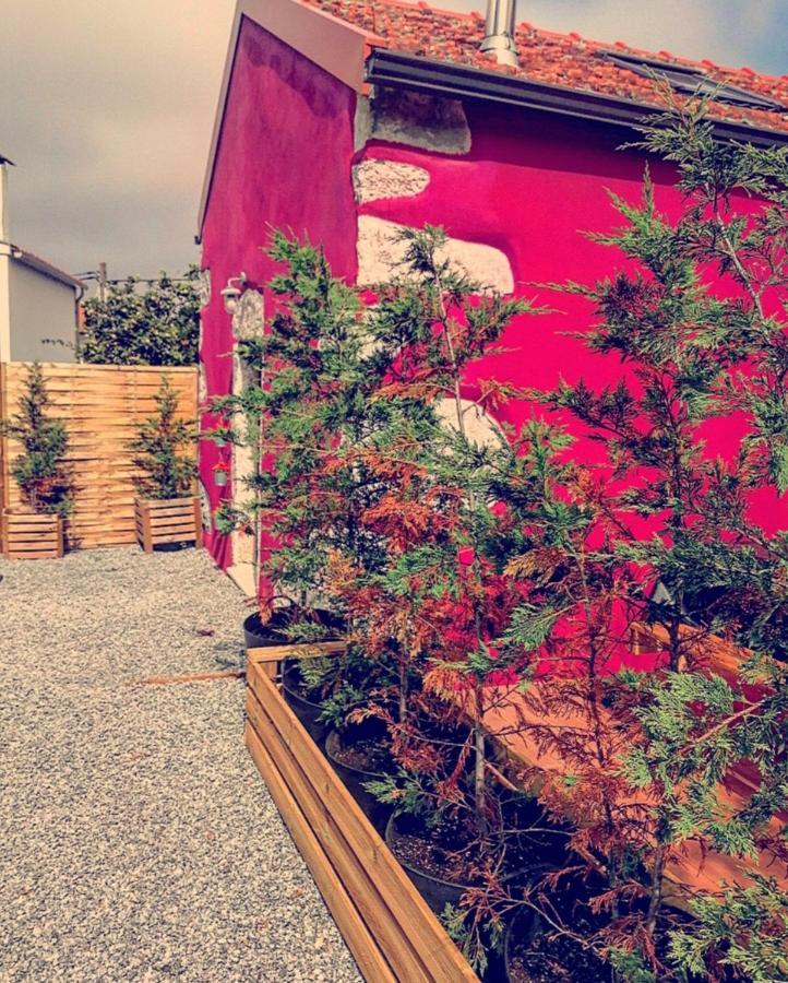 I Loft Viana Villa Viana do Castelo Kültér fotó